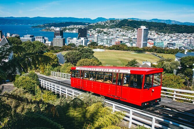 1/2 Day Guided Wellington Tour incl. Cable Car (Vans not buses) - Key highlights that matter (and why)