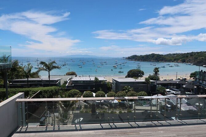 1.5h Waiheke Guided Scenic Tour in our Electric Van - Electric van + a guide = the fast track on Waiheke