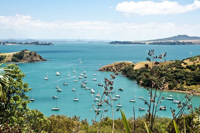 1.5h Waiheke Guided Scenic Tour in our Electric Van - How the 1.5 hours work (and why pacing is everything)