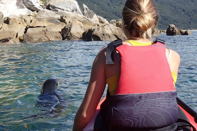1 Day Sea Kayak Rental - Astrolabe Roadstead to Abel Tasman Coast: Paddling at Your Pace