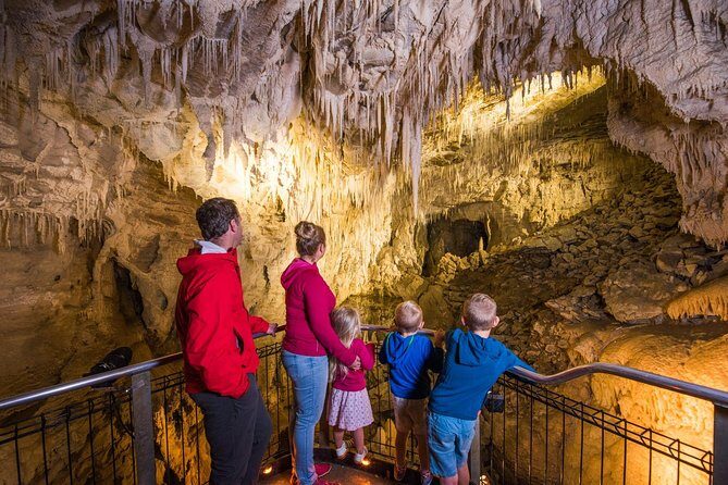1-Hour Guided Tour of Aranui Cave Waitomo - Ruakuri Reserve and Aranui Cave: A Waitomo Alternative That Feels Less Rushed