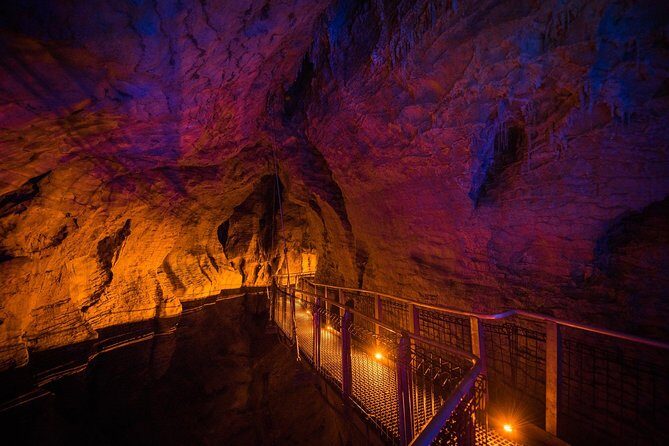 1-Hour Guided Tour of Aranui Cave Waitomo - Stop in the Forest Reserve: Aranui Cave Set-Up and the Walk In