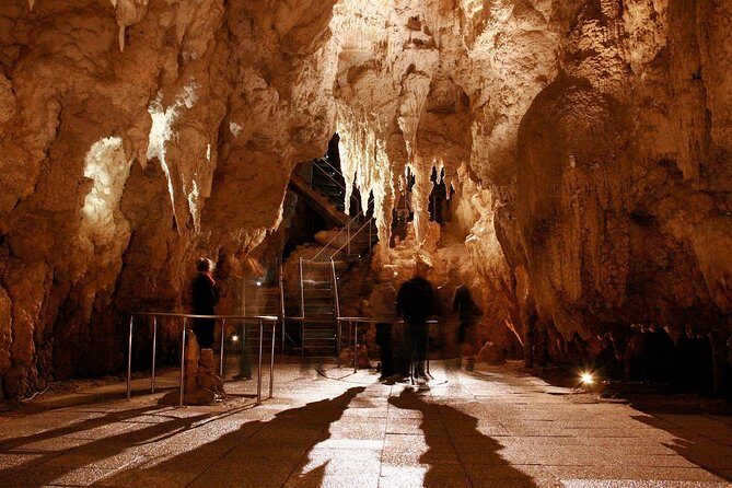1-Hour Guided Tour of Aranui Cave Waitomo - What to Wear and Bring: Shoes, Warm Layers, and Stairs