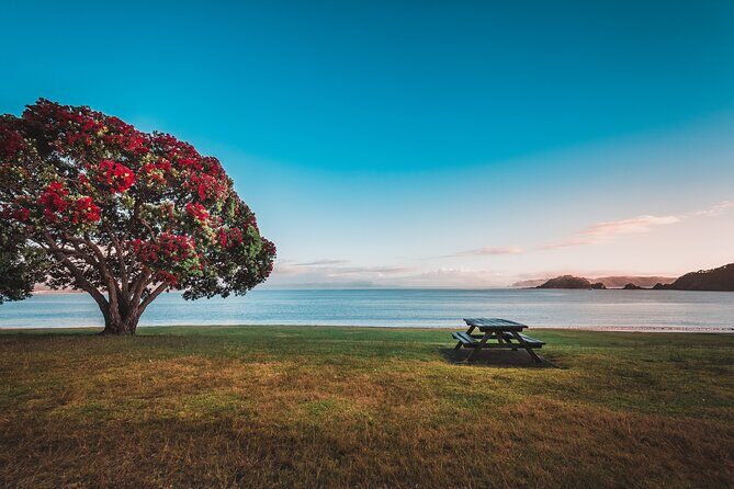 1 Hour Scenic Bay of Islands Tour - Mt Bledisloe Lookout and Waitangi views: 10 minutes with big payoff