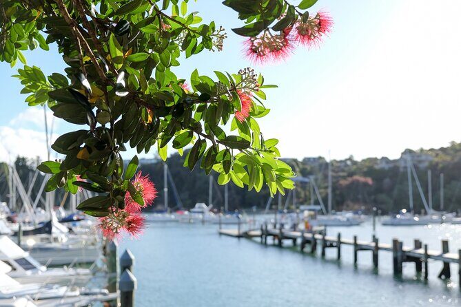 1 Hour Scenic Bay of Islands Tour - Opua harbour-town views: where the Bay begins