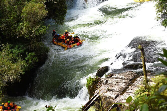 10 Day North to South Island NZ Private Tour from Auckland - Day 3 Rotorua geothermal day: Te Puia plus a choice of adventure styles