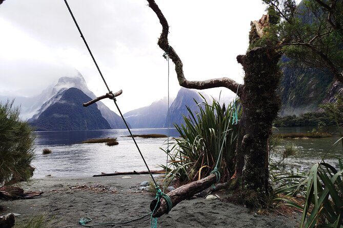 10 Day North to South Island NZ Private Tour from Auckland - Day 5 Kaikōura vs Akaroa: marine wildlife and two very different coasts