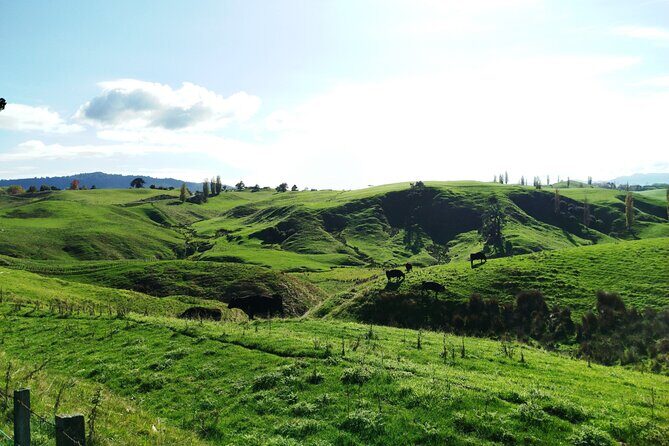 12 Day New Zealand Private Tour from Auckland to Queenstown - Rotorua with Te Puia: geothermal power plus Māori culture, with choices for your afternoon