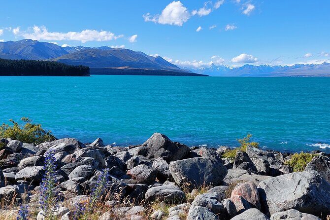 12 Day New Zealand Private Tour from Auckland to Queenstown - From Hamilton to Wellington by Northern Explorer: the train day you’ll remember