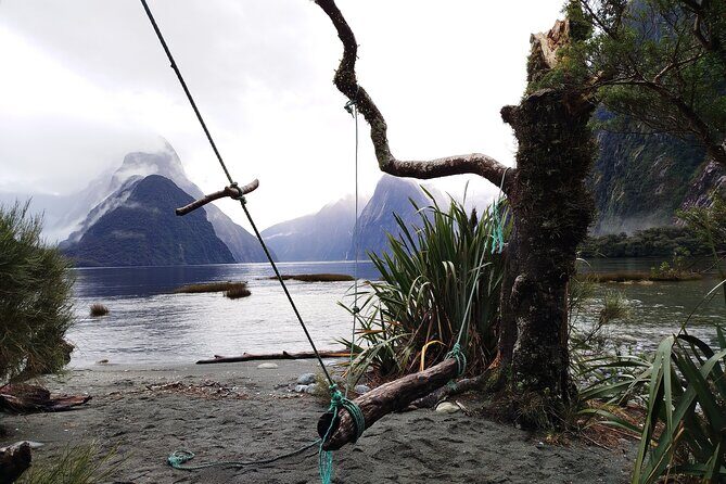 12 Day New Zealand Private Tour from Auckland to Queenstown - Auckland start: museum time, a Buddhist temple, and city orientation