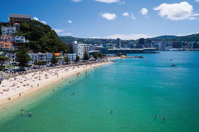 15-Minute Wellington Harbour Helicopter Flight - Wellington Harbour from above: what this 15-minute flight feels like