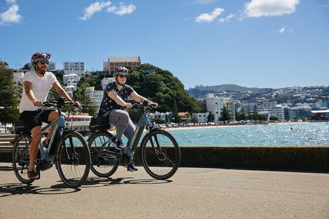 15-Minute Wellington Harbour Helicopter Flight - Who should book this helicopter flight (and who might skip it)