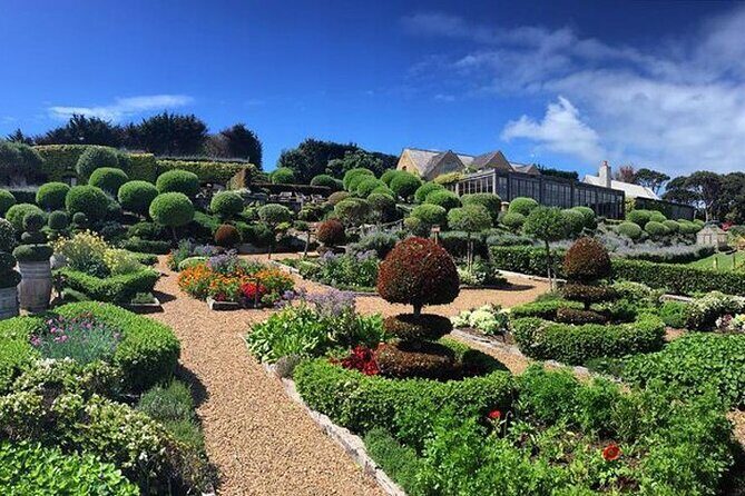2.5 Hours Wine Tour in Waiheke Island for Cruise Ship Travelers - Key highlights worth planning for