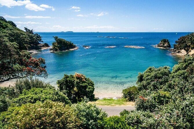 2.5 Hours Wine Tour in Waiheke Island for Cruise Ship Travelers - Ending at Matiatia Ferry Terminal or Oneroa Village: Don’t Lose Track of Time