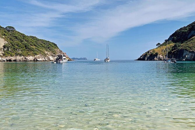 2.5 Hours Wine Tour in Waiheke Island for Cruise Ship Travelers - Price and Value: What $130.32 Covers on Waiheke Island