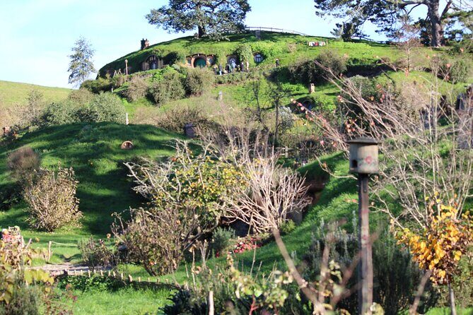2-Day Hobbiton, Rotorua, Waitomo Caves Tour from Auckland with Accommodation - The Early Auckland Morning: Pickup, Drive Time, and How to Stay Sane