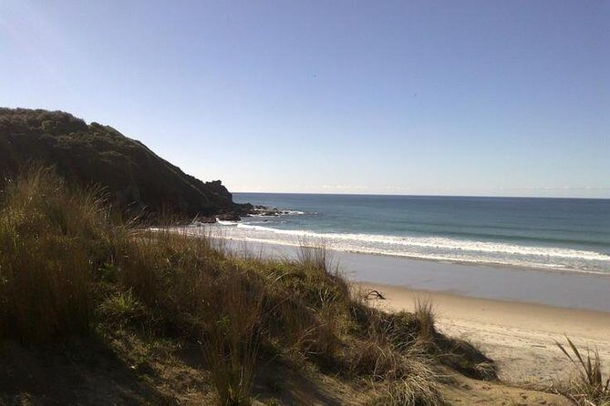 2 Hour Surf Lesson - Te Arai Beach - Gear you do not have to rent: wetsuit, rash shirt, board, leash