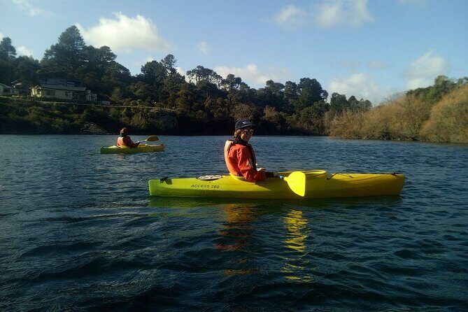 2-Hour Waikato River Guided Kayak Trip from Taupo - Stop at the hot pools: the warm-water break people plan for