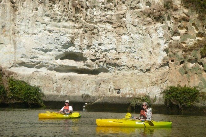 2-Hour Waikato River Guided Kayak Trip from Taupo - Guides on the water: what you can expect from the human side