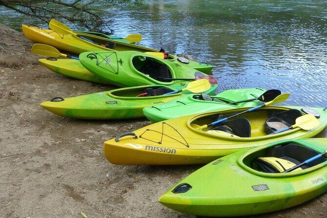 2-Hour Waikato River Guided Kayak Trip from Taupo - Photos included: good memories, but manage expectations