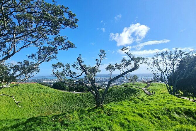 2025 Award Winning: Auckland City Highlights Half Day Tour - How Much Walking Is Involved at These Stops?