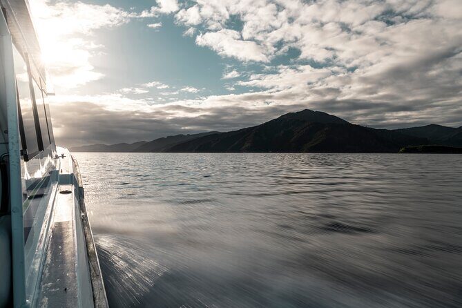 3.5 Hour Marlborough Sounds Delivery Cruise - From London Quay to Queen Charlotte Sound: What This Ride Feels Like