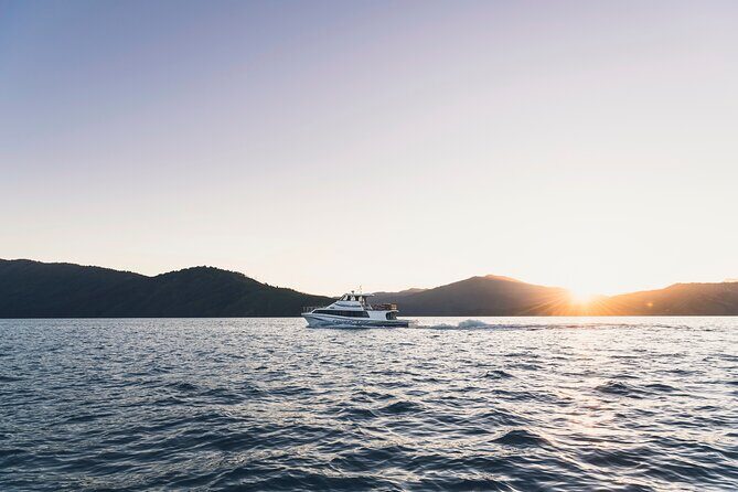 3.5 Hour Marlborough Sounds Delivery Cruise - Comfort and Clothing: Top Deck Can Be Chilly and Windy