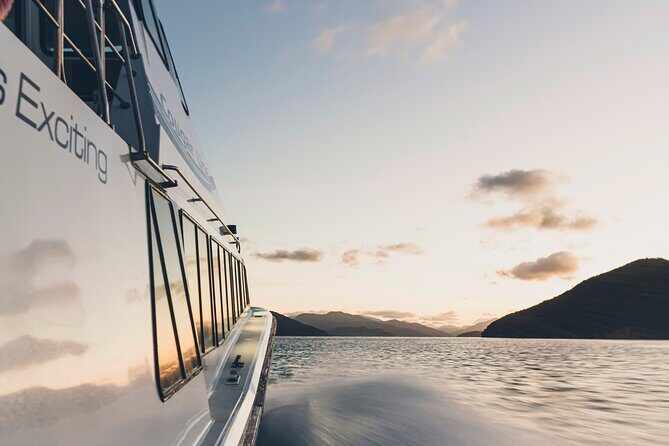 3.5 Hour Marlborough Sounds Delivery Cruise - Live Skipper Commentary, Tea and Coffee, and the Joy of Small Talk