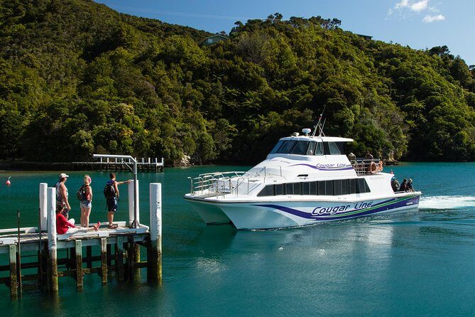 3.5 Hour Marlborough Sounds Delivery Cruise - Price and Value for a 3.5-Hour Boat in the Sounds
