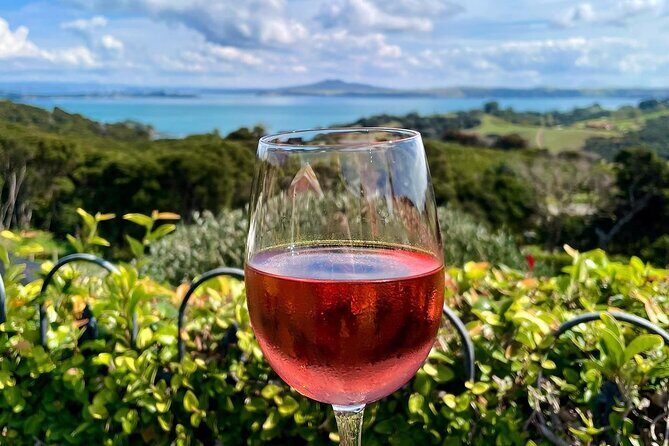 3.5 hour Sunset Tour on Waiheke Island - Why This Waiheke Sunset Tour Feels Like a Local Hack