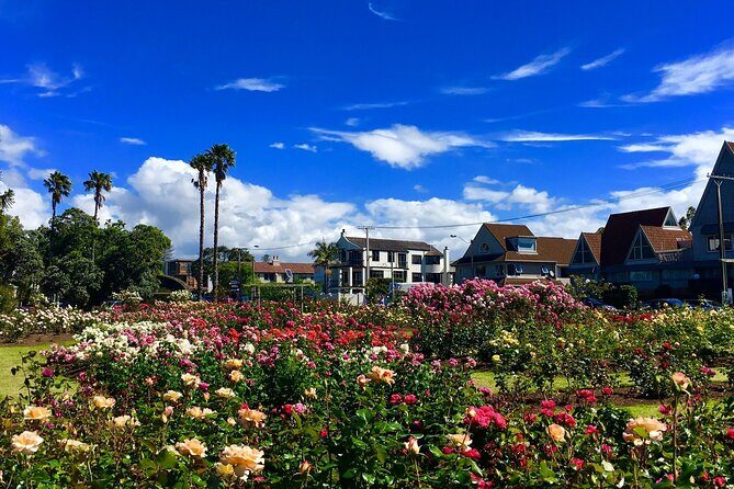 3.5 hour Sunset Tour on Waiheke Island - Rain, Weather, and How to Plan Your Outfit