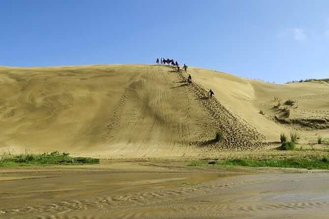 3 Day Bay Of Islands Tour from Auckland including Waitangi and Cape Reinga - Value for $772.61: what you’re really paying for