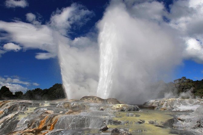 3-Day Hobbiton, Rotorua, Whakarewarewa, and Waitomo Tour - Price and logistics: does $915.35 feel fair?