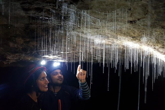 3-Hour Private Photography Tour in Waitomo Caves - Waitomo glow worms, but with a camera plan built in