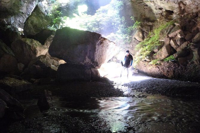 3-Hour Private Photography Tour in Waitomo Caves - Value: is a $682 private group price worth it?