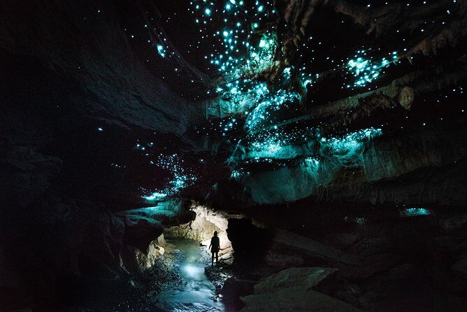 3-Hour Private Photography Tour in Waitomo Caves - Gear that keeps you warm and lets you focus on the shot