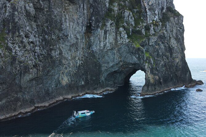 3 Hours // Hole in the Rock Cruise & Bay of Islands Tour - Key highlights to know before you go