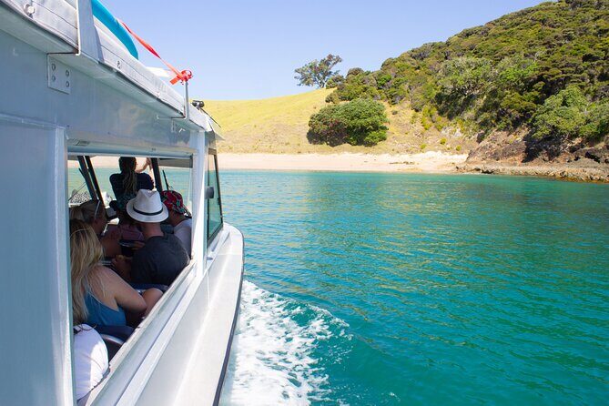 3 Hours // Hole in the Rock Cruise & Bay of Islands Tour - Wildlife spotting and guide style: how the crew turns sightings into meaning