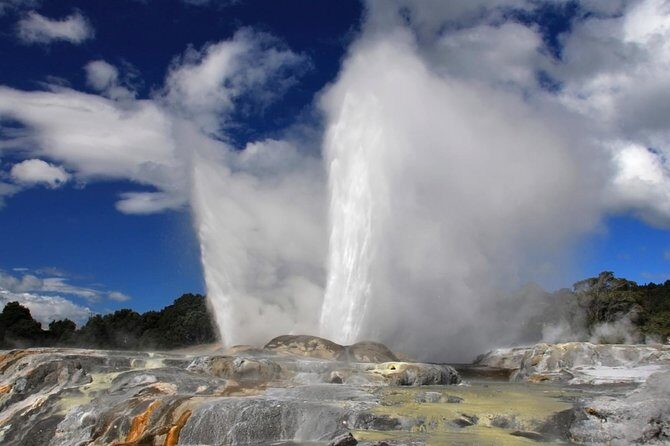4-Day Auckland to Wellington via Rotorua Tour - Landing in Rotorua: Two Nights That Actually Matter