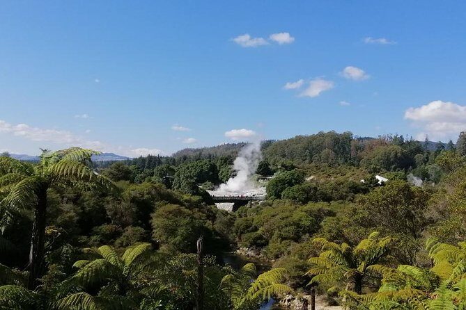 4-Day Auckland to Wellington via Rotorua Tour - Hobbiton Movie Set: Shire Detail Without a Lot of Guesswork