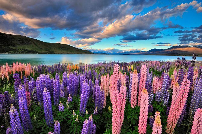 4-Day Great Southern Island Circle Tour from Christchurch - Key Tour Highlights (What You’ll Actually Feel)