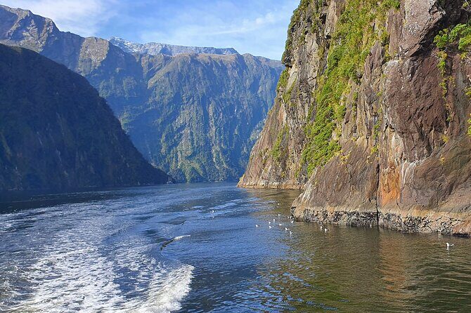 4 Day Tour to Milford Sound, Mount Cook & More from Auckland - Stargazing at Lake Tekapo: the night-sky payoff