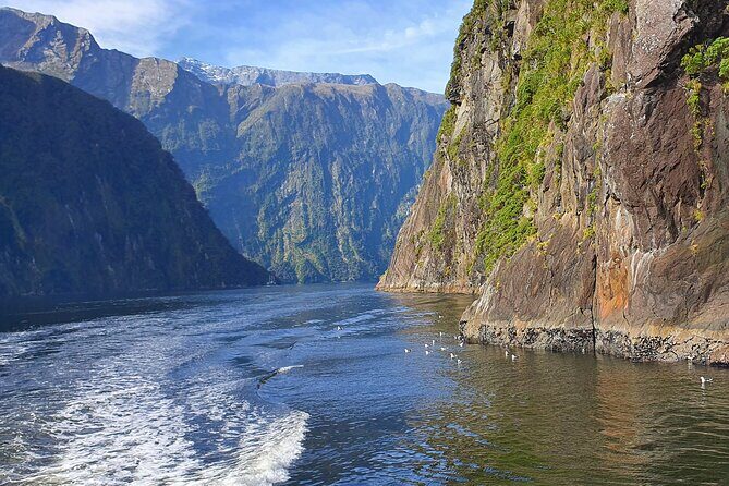 4 Day Tour to Milford Sound, Mount Cook & More from Christchurch - Milford Sound or Doubtful Sound: Two Fiordlands, Two Different Moods