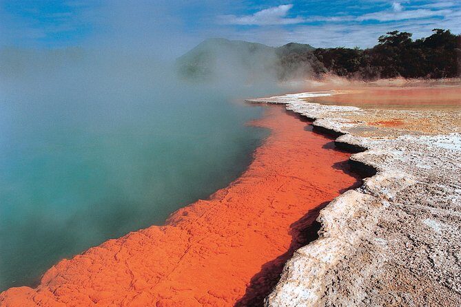 4-Day Wellington to Auckland via Rotorua Tour - Key takeaways before you go