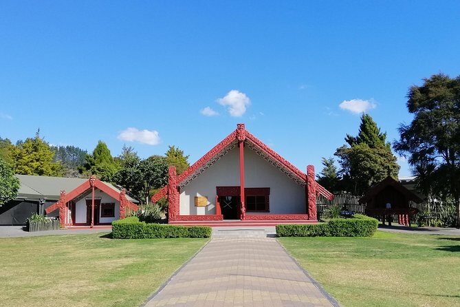 4-Day Wellington to Auckland via Rotorua Tour - Transportation and pace: what you should expect day to day