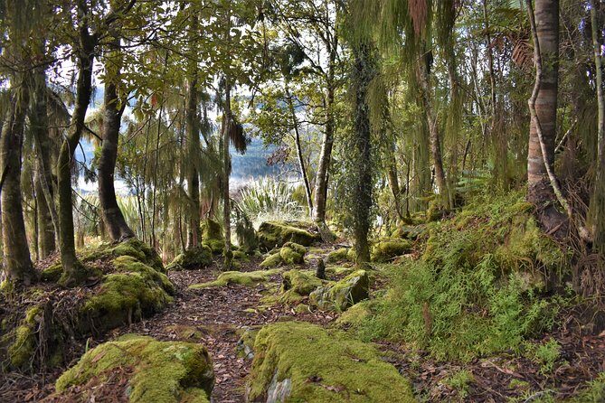 4-hour Lake Mapourika Kayak and Hike adventure, with Okarito Kiwi Sanctuary - Value check: what $104.88 buys you in real terms