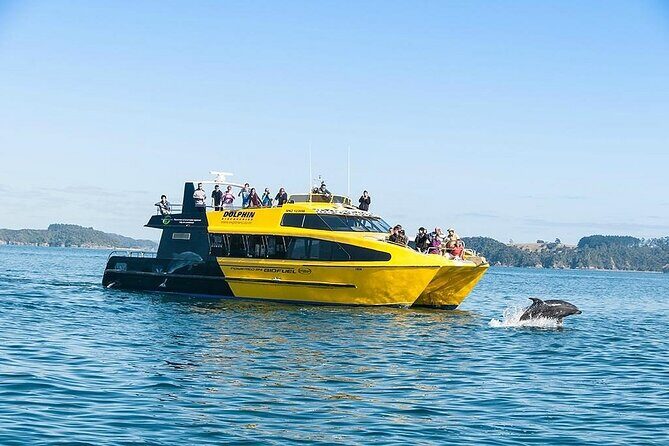 5-Day Bay of Islands, Auckland, Hobbiton, Rotorua & Waitomo Tour - Key things I’d circle before you book