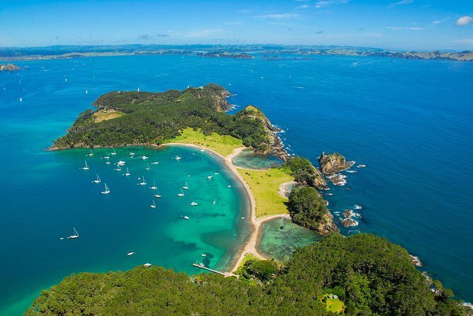 5-Day Bay of Islands, Auckland, Hobbiton, Rotorua & Waitomo Tour - Day 2: Waitangi Treaty Grounds, then luggage handling and Auckland Central