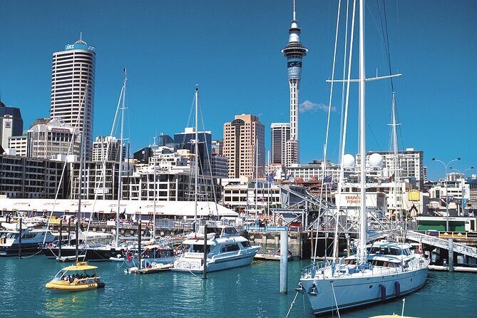 5-Day Bay of Islands, Auckland, Hobbiton, Rotorua & Waitomo Tour - Day 3: Auckland city sightseeing, then your own tempo in the central city