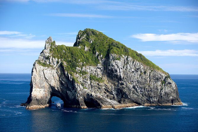 5-Day Bay of Islands, Auckland, Hobbiton, Rotorua & Waitomo Tour - Hotels, pickup, and small-group timing: the “less stress” part you’re paying for